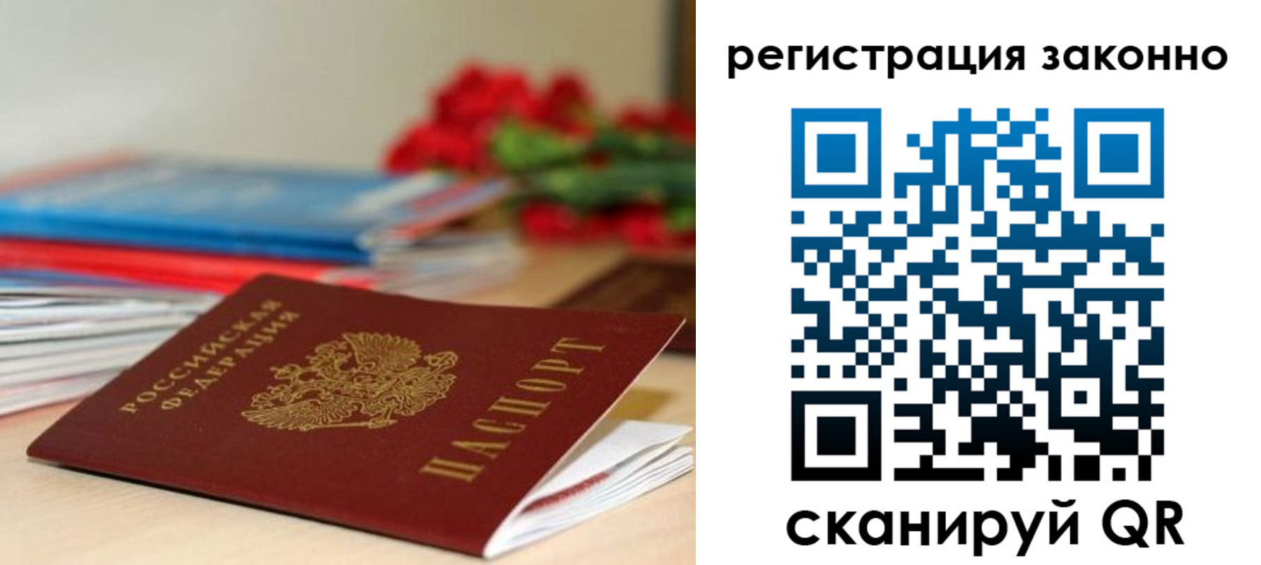 временная регистрация для всех в Плавске